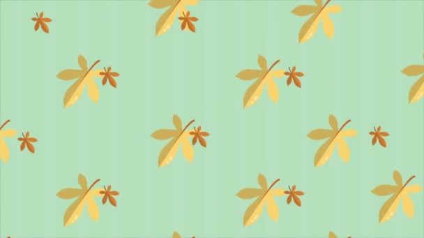 Осенний День Коллекцией Анимационных Листьев Клена — стоковое видео