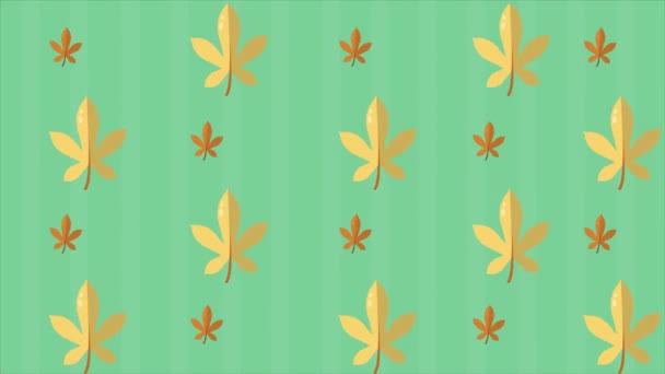 Autumn Day Maple Leaves Animation Collection — Stock Video