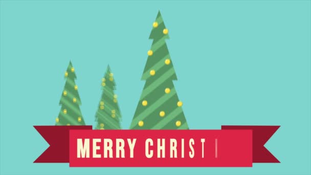 Happy Merry Christmas Fir Tree Footage Collection — Stock Video