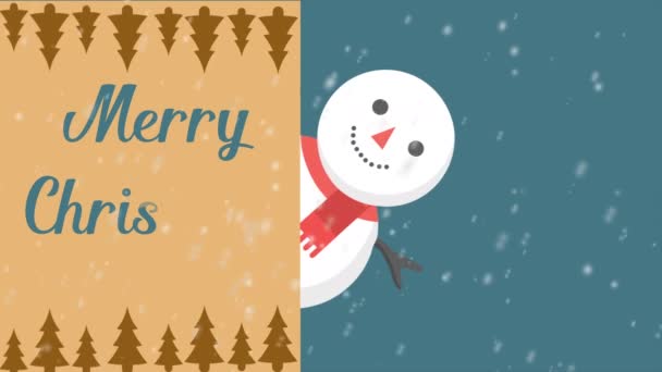 Счастливого Рождественского Стиля Коллекцией Снеговиков — стоковое видео