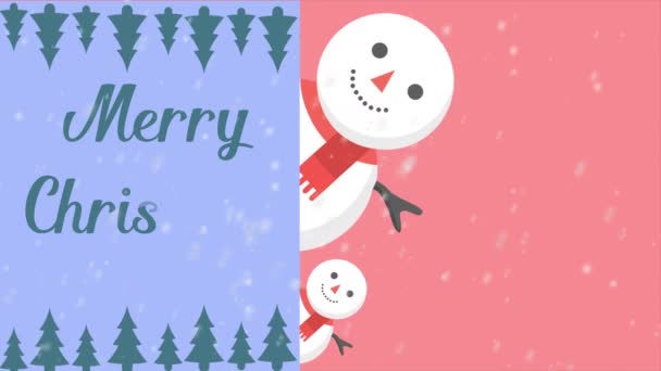 雪だるまコレクションとメリー クリスマス映像スタイル — ストック動画