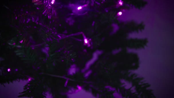 与杉木素材收集愉快的圣诞快乐 — 图库视频影像