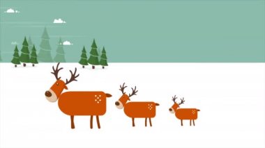 Noel hill görüntüleri koleksiyonu üzerinde toplayan