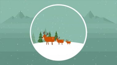 Noel hill görüntüleri koleksiyonu üzerinde toplayan