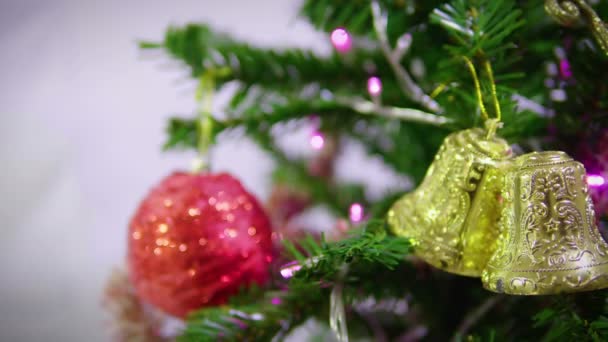 Beelden Van Fir Tree Voor Chirstmas Decoratieve Collectie — Stockvideo