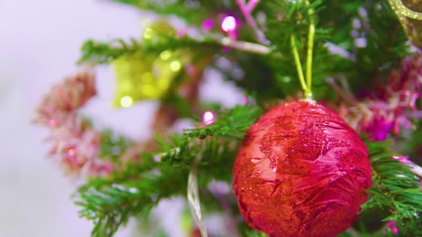 Footage Fir Tree Chirstmas Decorative Collection — Stock Video