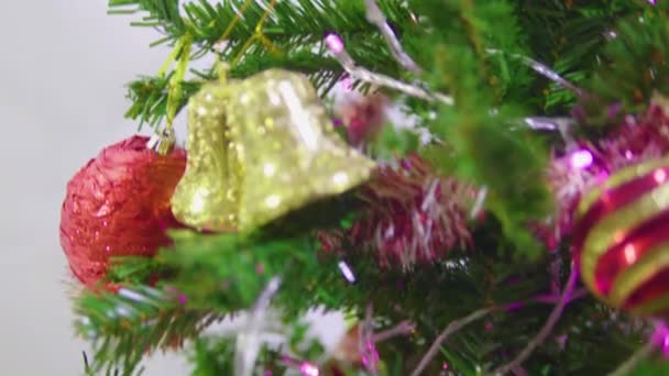 Filmmaterial Von Weihnachtsdekoration Mit Christbaumkollektion — Stockvideo