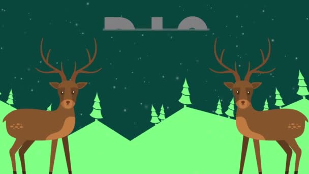 Animation Der Rusa Auf Dem Hügel Weihnachten Große Sale Sammlung — Stockvideo