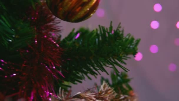 Beelden Van Boom Kerst Versierd Met Kerst Collectie — Stockvideo