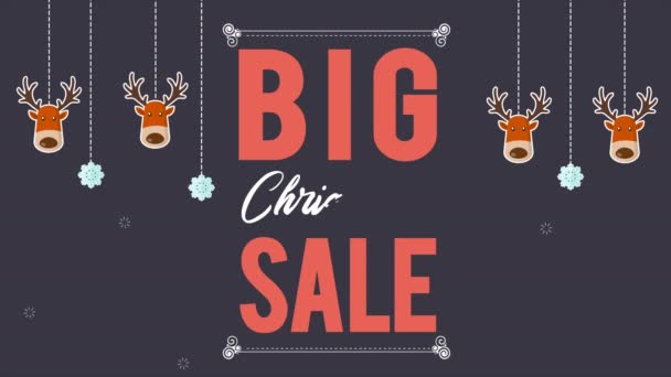 Footage Big Sale Christmas Day Collection — Stock Video