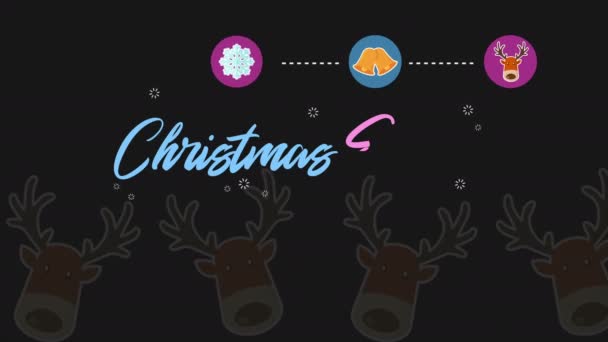 Съемка Элемента Рождество Коллекция Рождественских Распродаж — стоковое видео
