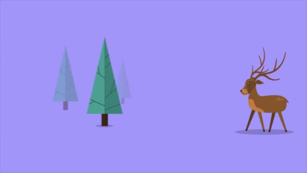 Animazione Dei Cervi Movimento Collina Collezione Natale — Video Stock