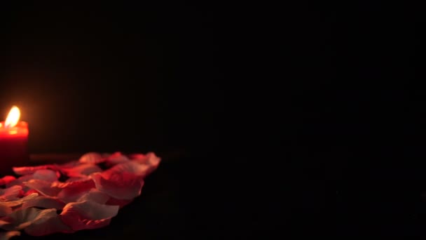 Filmaufnahmen Vom Glücklichen Valentinstag Mit Kerzenbrennen Und Rosenblütenkollektion — Stockvideo