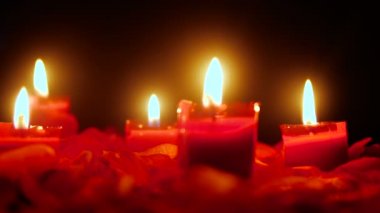 Mum yanan görüntüleri için kutlamak Sevgililer günü çiçek yaprakları koleksiyonu ile