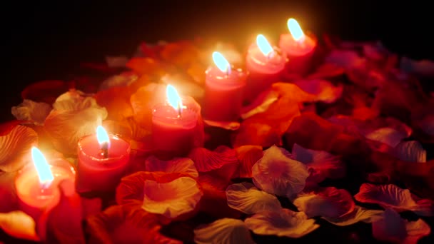 Filmmaterial Zum Kerzenbrennen Zum Valentinstag Mit Sammlung Von Blütenblättern — Stockvideo