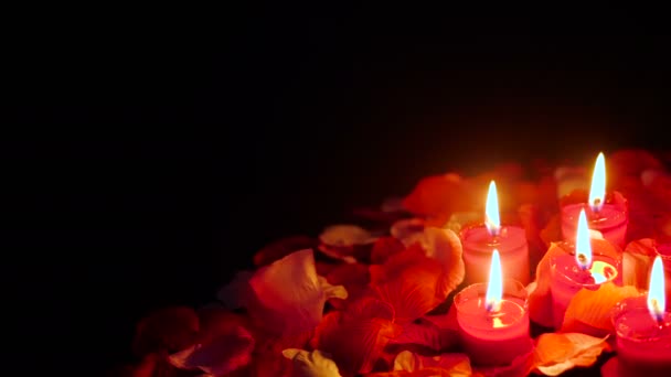 Съемка Лепестков Цветов День Святого Валентина Коллекцией Горящих Свечей — стоковое видео