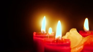 Çiçek yaprakları ile yanan mum görüntüleri. Sevgililer günü koleksiyonu