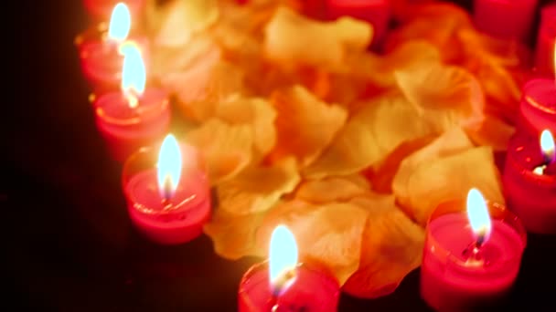Кадри Свічок Горять Пелюстками Квітів День Святого Валентина Колекція — стокове відео