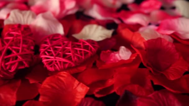 问候瓦伦丁与镜头装饰心脏和玫瑰花瓣收藏 — 图库视频影像