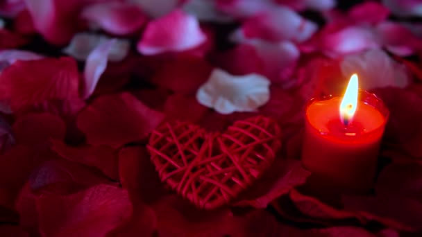 玫瑰花瓣的画面 蜡烛燃烧和装饰情人节 情人节收藏 — 图库视频影像