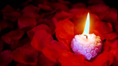 Gül yaprakları ile pembe mum Sevgililer günü koleksiyonu için yanan görüntüleri