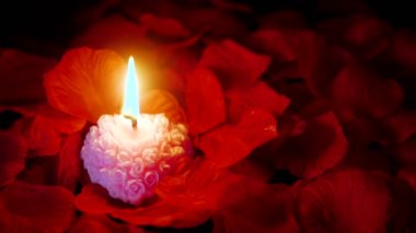 Gül yaprakları ile pembe mum Sevgililer günü koleksiyonu için yanan görüntüleri