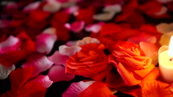 Sprikles Pétalas Rosa Flor Vela Queima Filmagem Decoração Dia Dos — Vídeo de Stock