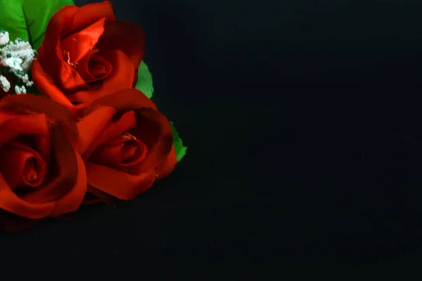 Çiçek Siyah Zemin Üzerine Kırmızı Gül Photoshoot Sevgililer Günü Koleksiyonu — Stok fotoğraf