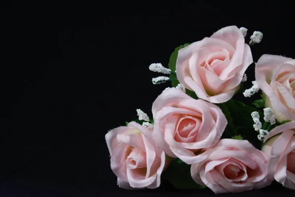 Sesja Zdjęciowa Różowych Róż Czarnym Tle Kolekcja Dzień Valentine — Zdjęcie stockowe