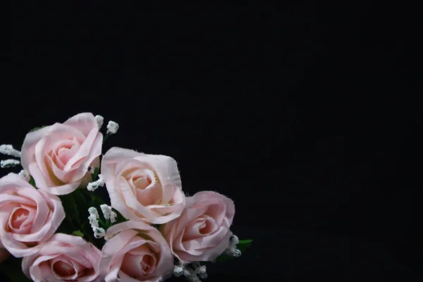 Sesión Fotos Rosa Sobre Fondo Negro Colección Día San Valentín — Foto de Stock