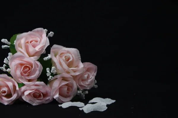 Розовые Розы Лепестки Роз Украшения Коллекции Дню Святого Валентина — стоковое фото