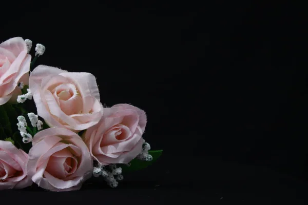 Фотосесія Рожевої Троянди Чорному Тлі День Святого Валентина Колекція — стокове фото