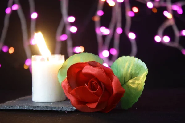 Valentine Day Decoration Lamp Flower Candle Burning Photoshoot Collection — Zdjęcie stockowe