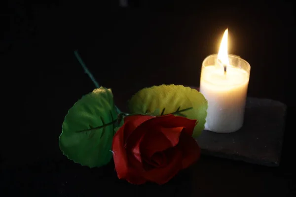 Walentynki Róży Świecy Zdjęciową Kolekcji — Zdjęcie stockowe