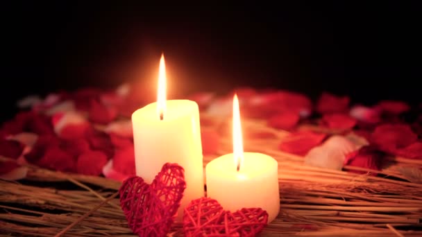 Footage Move Candle Burning Rose Petals Valentine Day Collection — Stock Video