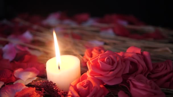 Filmaufnahmen Von Rosenblättern Brennenden Kerzen Und Blütenrosen Valentinstag Kollektion — Stockvideo