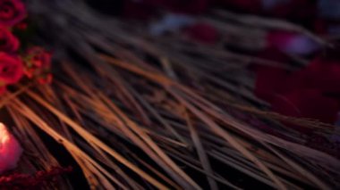 Görüntüleri hareket çiçek yaprakları, gül ve mum yakma. Sevgililer günü koleksiyonu