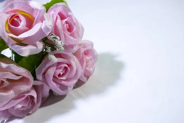 Rosas Rosadas Sobre Fondo Blanco Sesión Fotos Colección Día San — Foto de Stock