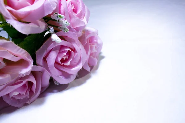 Розовые Розы Белом Фоне Фотосессии Собрание Дню Святого Валентина — стоковое фото
