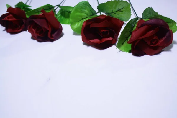 День Святого Валентина Фотосессией Красная Коллекция Роз — стоковое фото