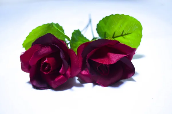 Día San Valentín Romántico Con Colección Rosas Sesión Fotos — Foto de Stock