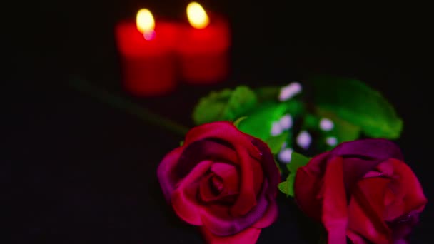 ろうそくの燃焼と赤の花でバレンタインデーの映像コレクションを見る — ストック動画