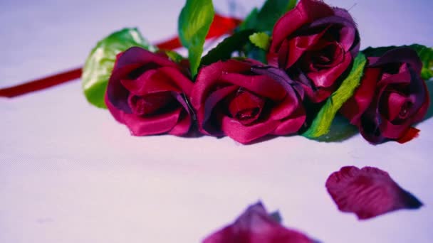 San Valentín Con Imágenes Colección Rosas Pétalos — Vídeos de Stock