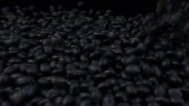 Yığın toplama siyah soya fasulyesi