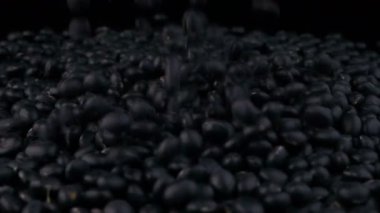 Yığın toplama siyah soya fasulyesi