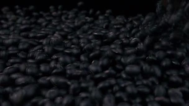 Frijoles Soja Negros Colección Pila — Vídeos de Stock