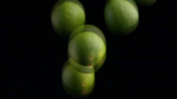 Съемки Плодов Лайма Падающих Вниз Коллекции — стоковое видео