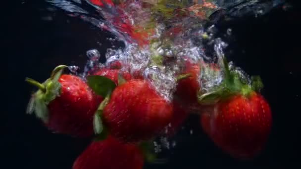 Fresas Cayendo Agua Cámara Lenta Colección Imágenes — Vídeo de stock