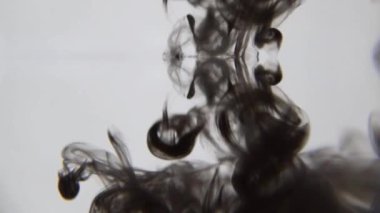 Siyah mürekkep suda. Renkli siyah boya yumuşak su altında dönen suya karıştırma yukarıda bırakır. Ağır çekim. 