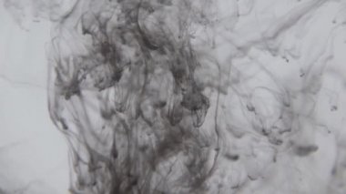 Siyah mürekkep suda. Renkli siyah boya yumuşak su altında dönen suya karıştırma yukarıda bırakır. Ağır çekim. 